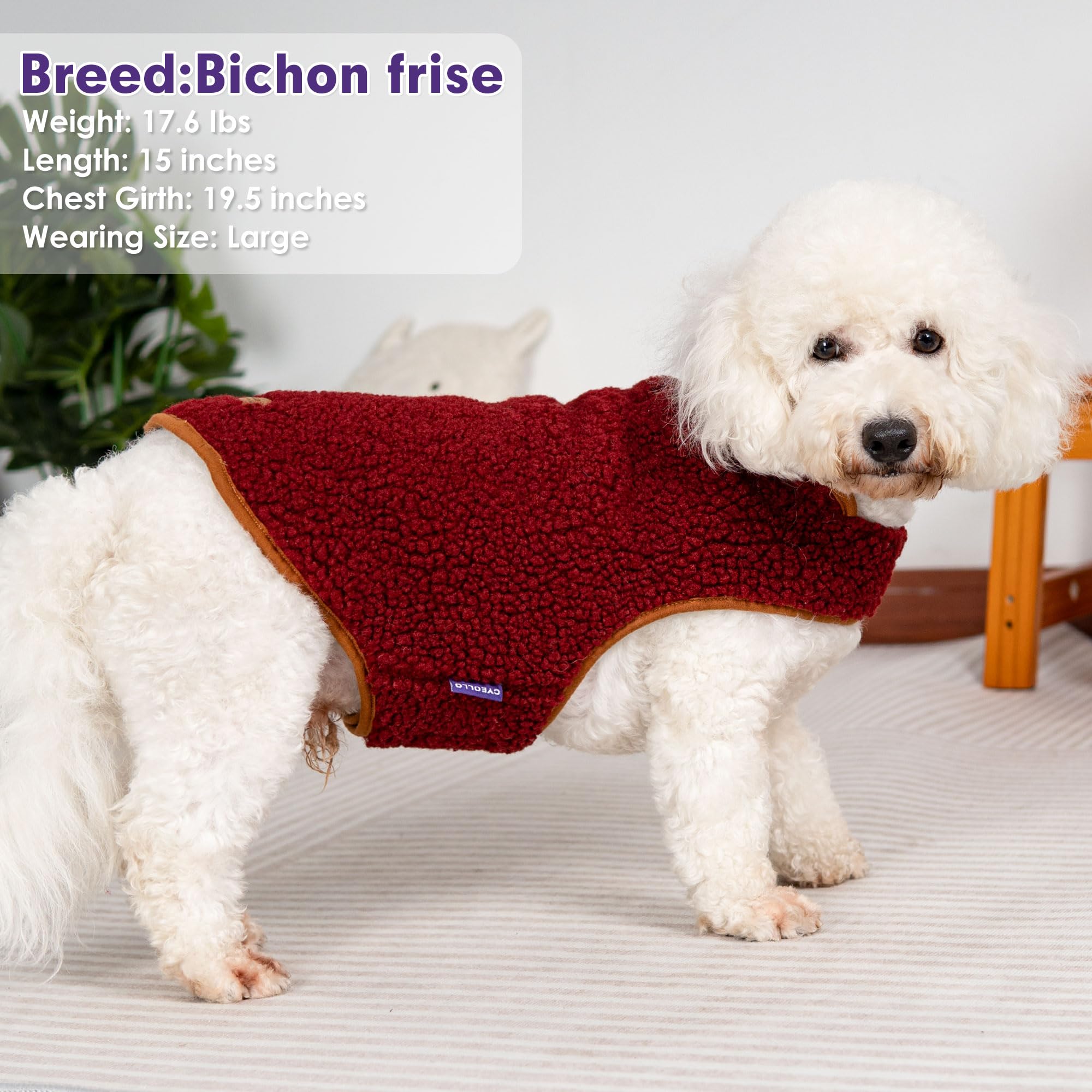 Manteau pour chien cyeollo, texture sherpa douce pour chaleur et confort