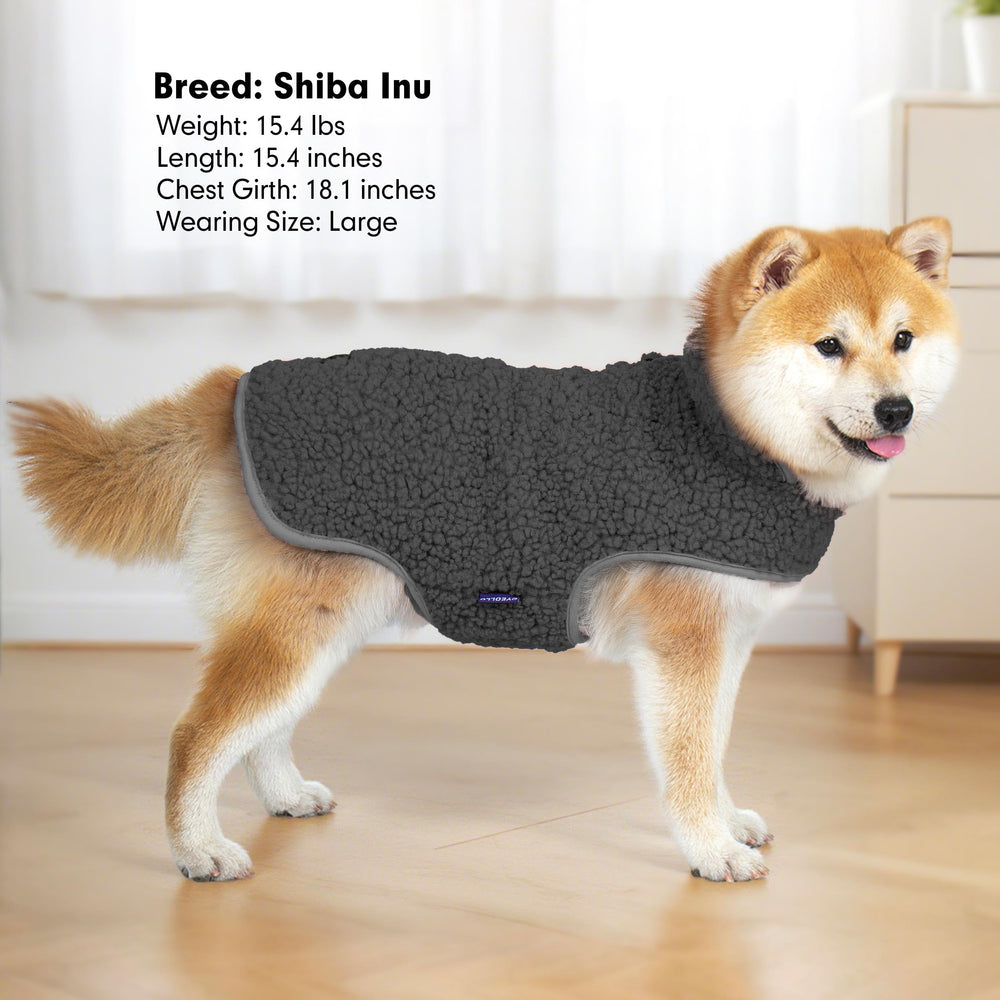 Manteau chien gris sombre cyeollo, style discret et chaleur hivernale.