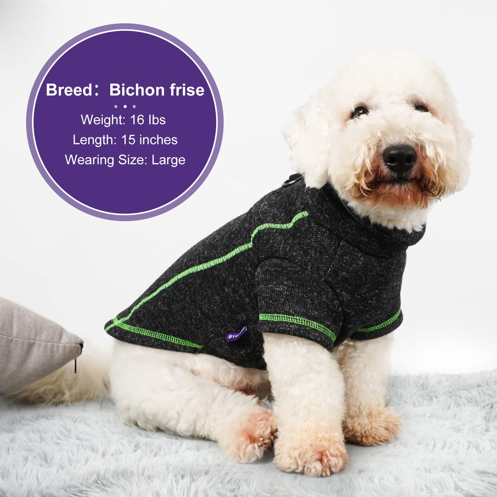 Guide des tailles cyeollo manteau chien — conseils pour un ajustement optimal.