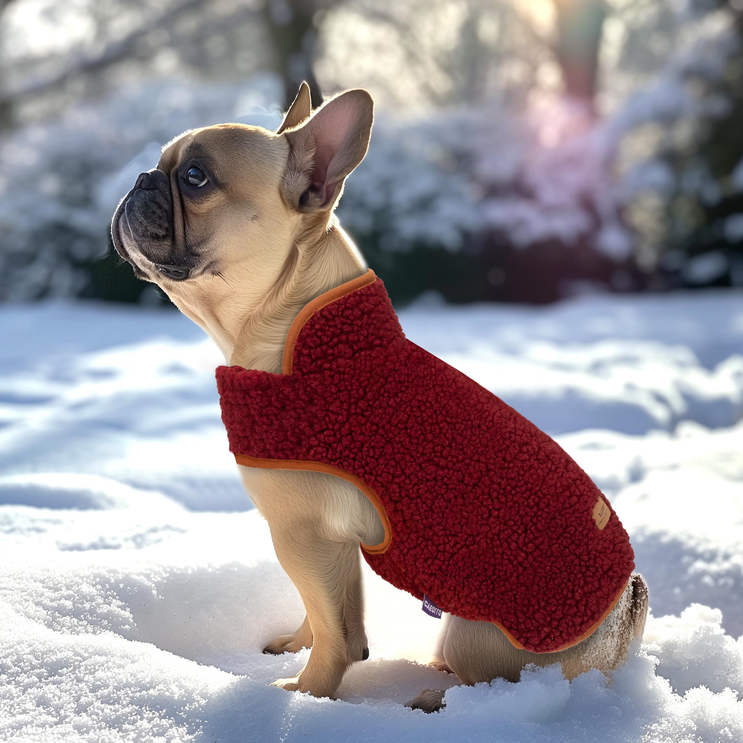 Manteau pour chien cyeollo, ouverture pour laisse visible, pratique lors des balades