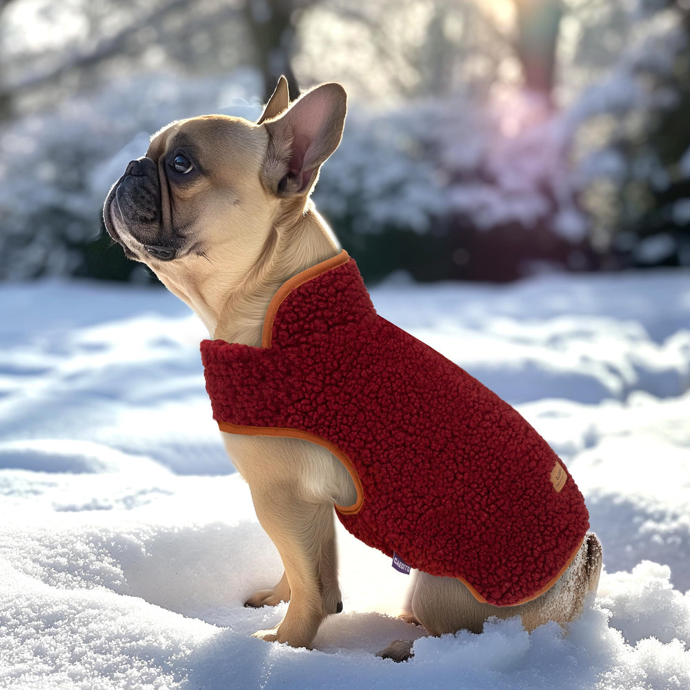 Manteau pour chien cyeollo, ouverture pour laisse visible, pratique lors des balades
