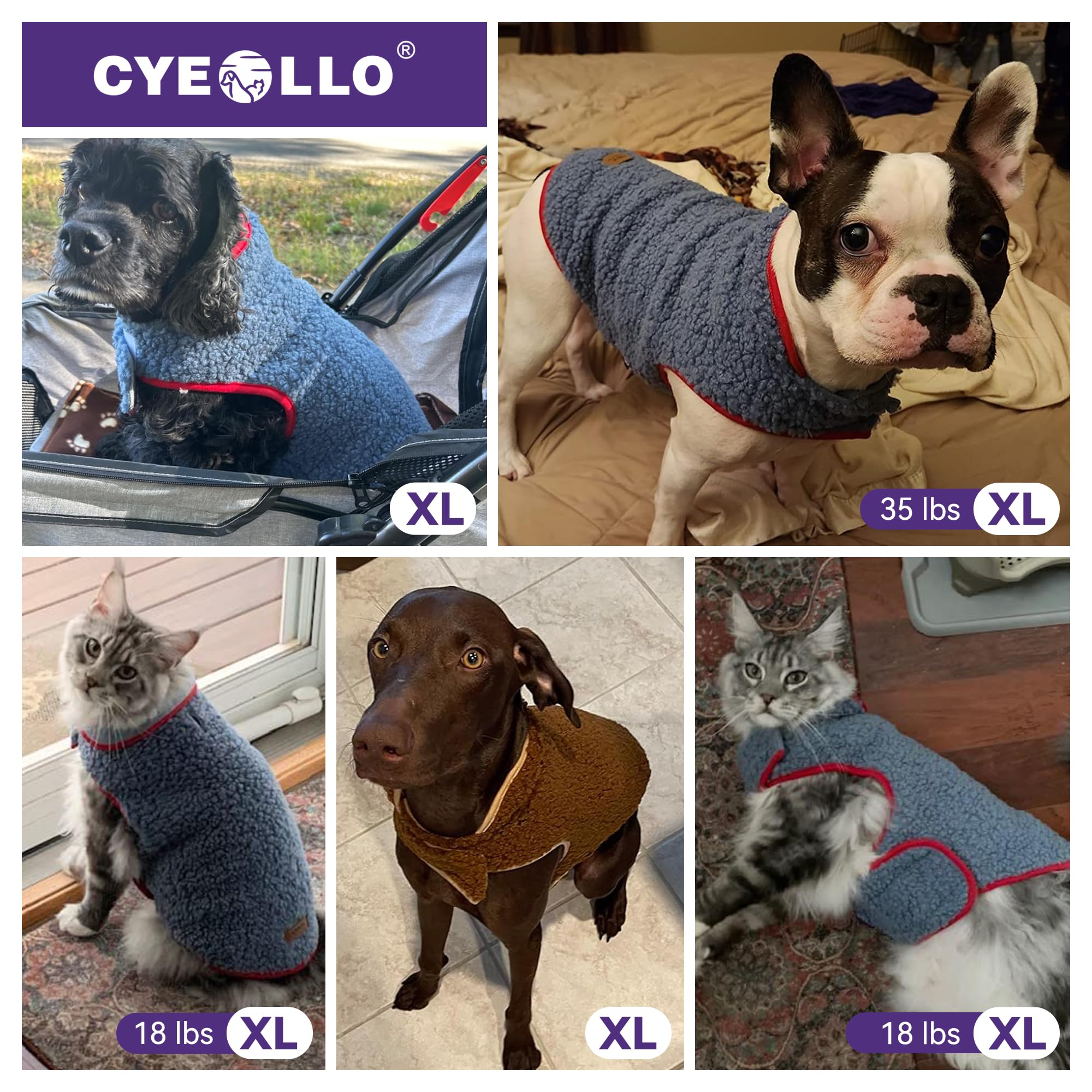 Manteau pour chien cyeollo, réglages au cou et au torse pour un ajustement sûr