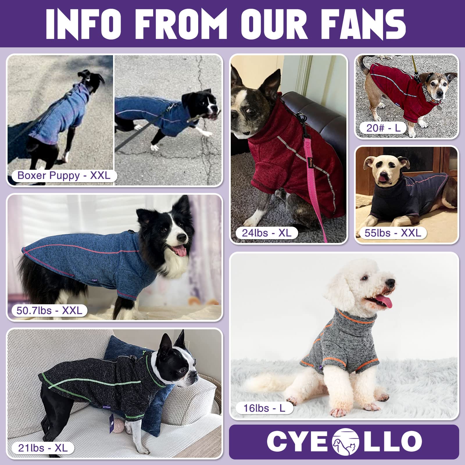 Manteau cyeollo chien en extérieur — confort et mobilité lors des sorties.