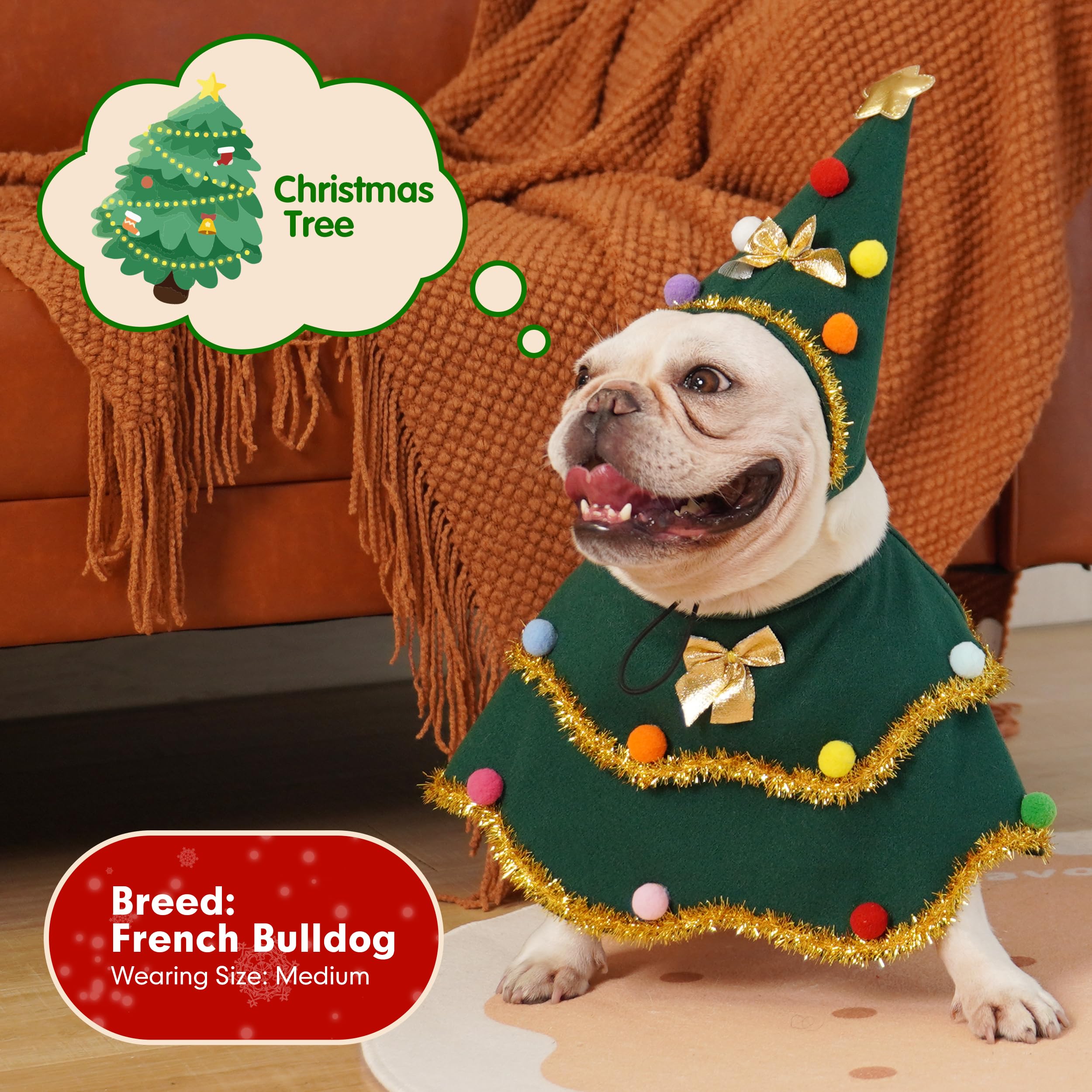 Guide des tailles cyeollo pour trouver la bonne taille chien.
