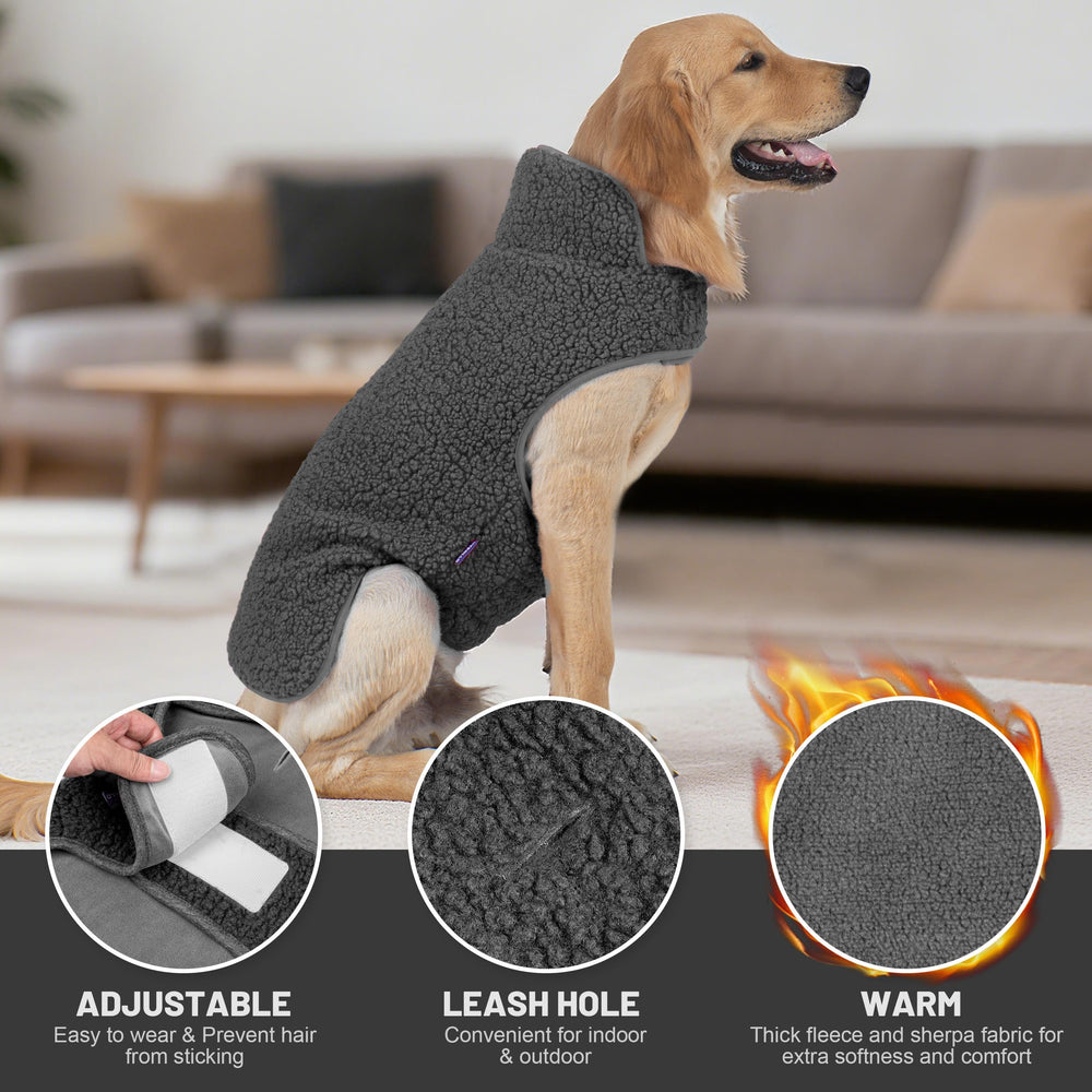 Manteau pour chien avec ouverture pour laisse, pratique en promenade.