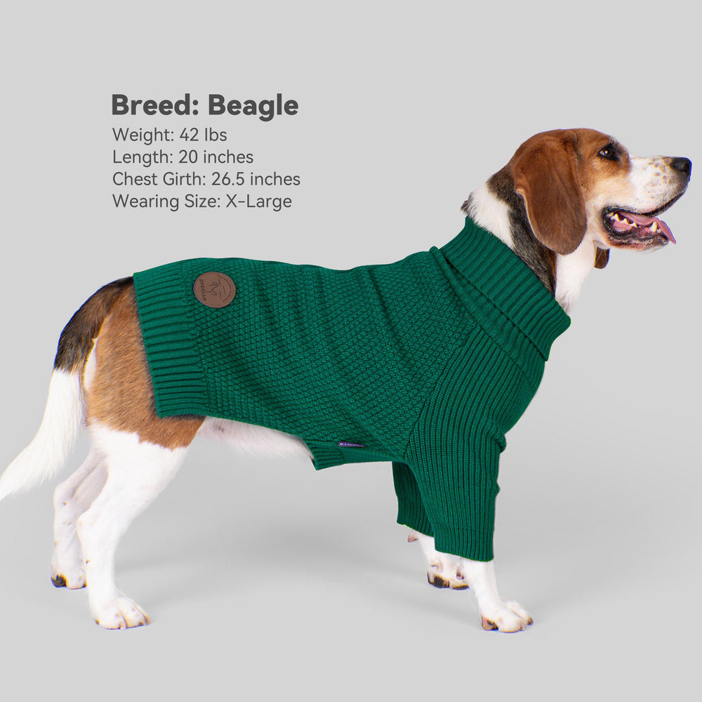 Pull cyeollo pour chien gros vert, tissu maille classique et élégant.