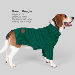 Pull cyeollo pour chien gros vert, tissu maille classique et élégant.