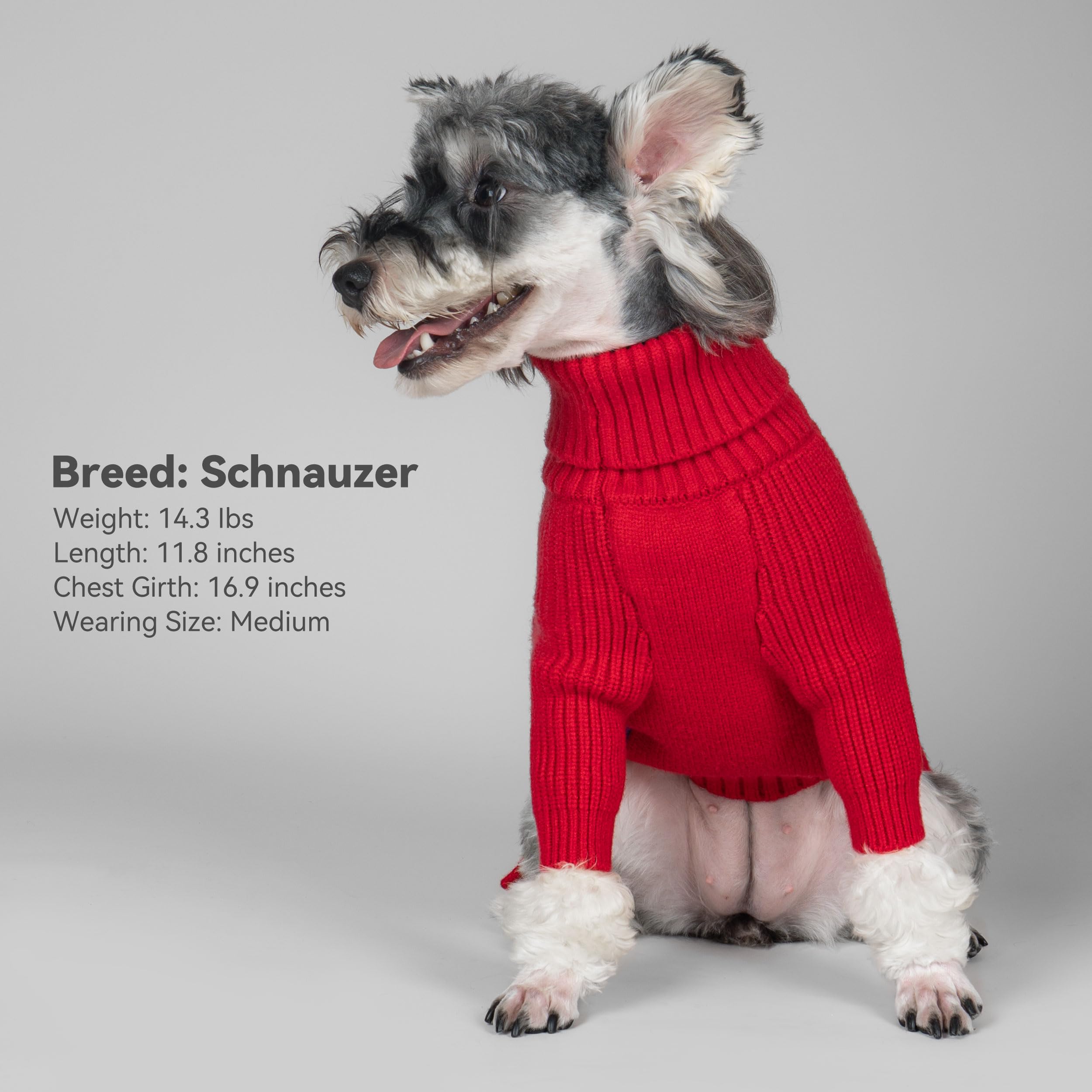 Confort hivernal accru avec ce pull pour chien 4XL.