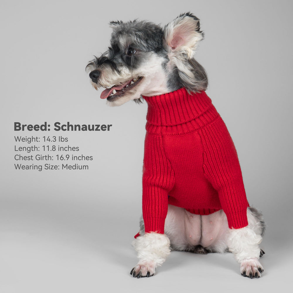 Confort hivernal accru avec ce pull pour chien 4XL.