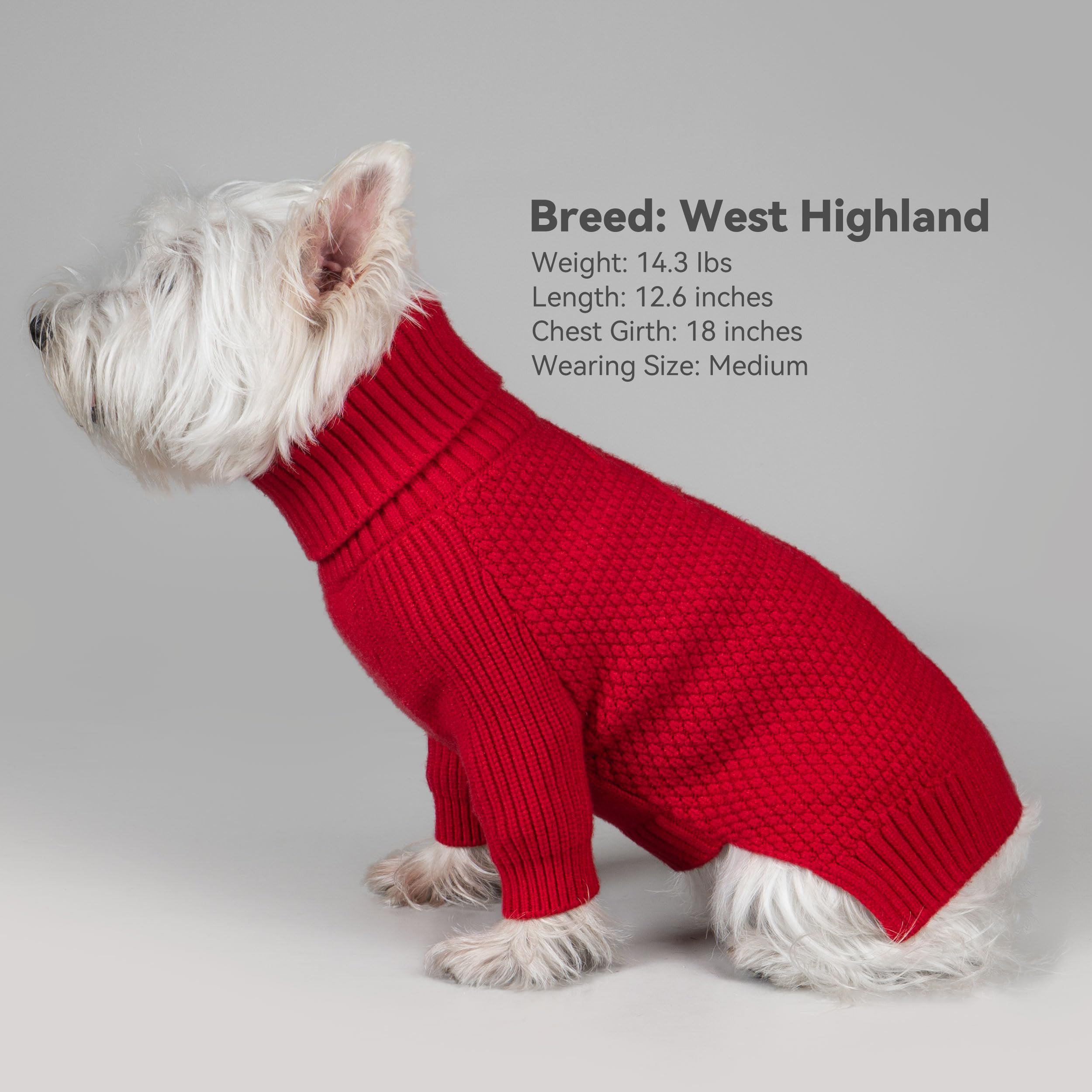 Usage quotidien optimal: chaleur et style pour chien de grande taille.
