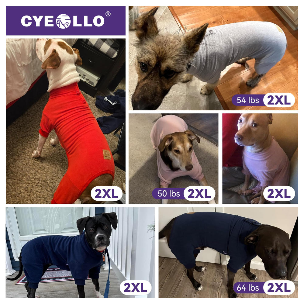 Pyjama chien Cyeollo pour utilisation quotidienne intérieur et extérieur