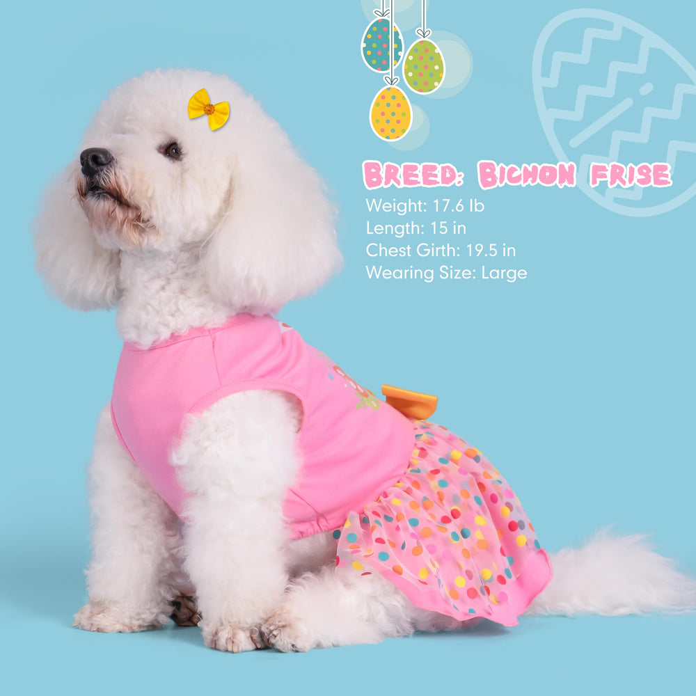 Robe cyeollo chien enfilage facile, port rapide et pratique.