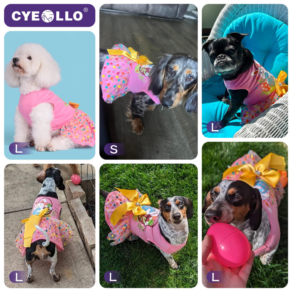 Robe chienne lavable en machine, entretien simple.
