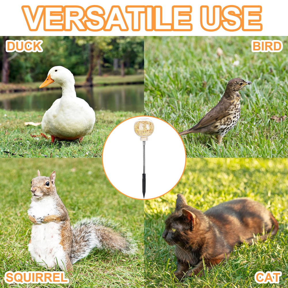 CYG&CL poules utilisant-jouet piquage pour nourrir et s'amuser.