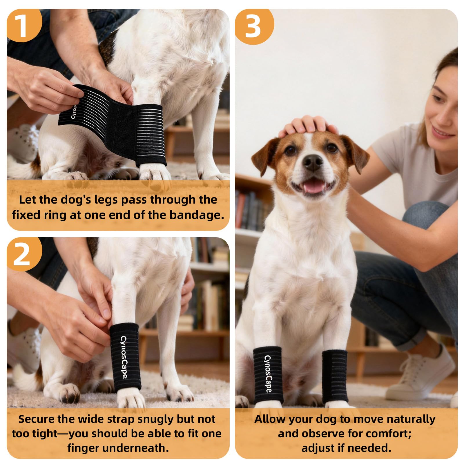 CynosCape Brace application facile : mise en place rapide sans stress pour votre chien