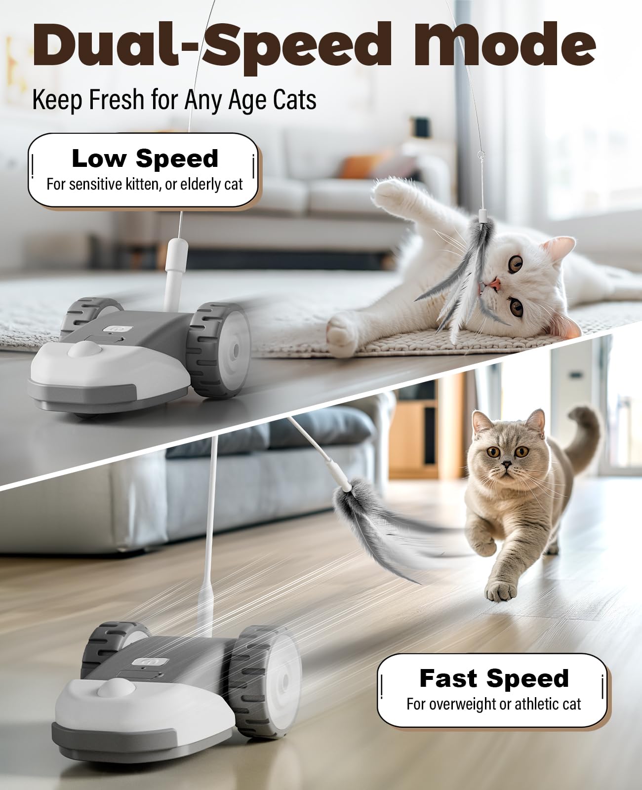 CYROS 3-en-1 changement vitesse rapide lent, adaptation au rythme du chat.
