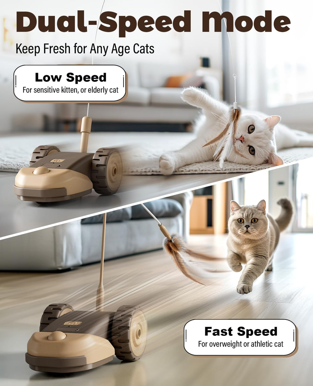 CYROS Mode double vitesses, adapté à l’humeur et à l’énergie du chat.