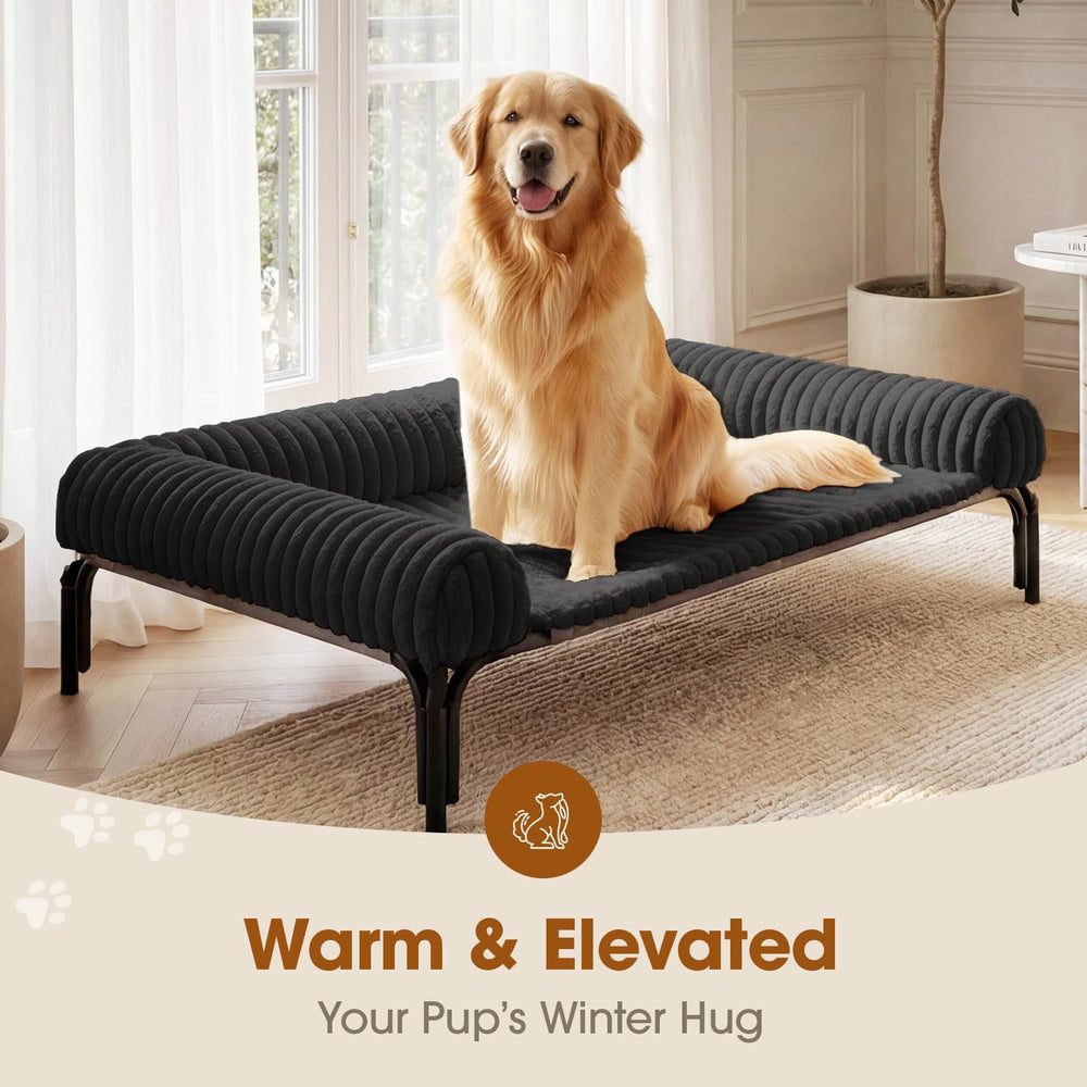 Lit-chien élevé Czpalo – coussin amovible pour entretien facile.