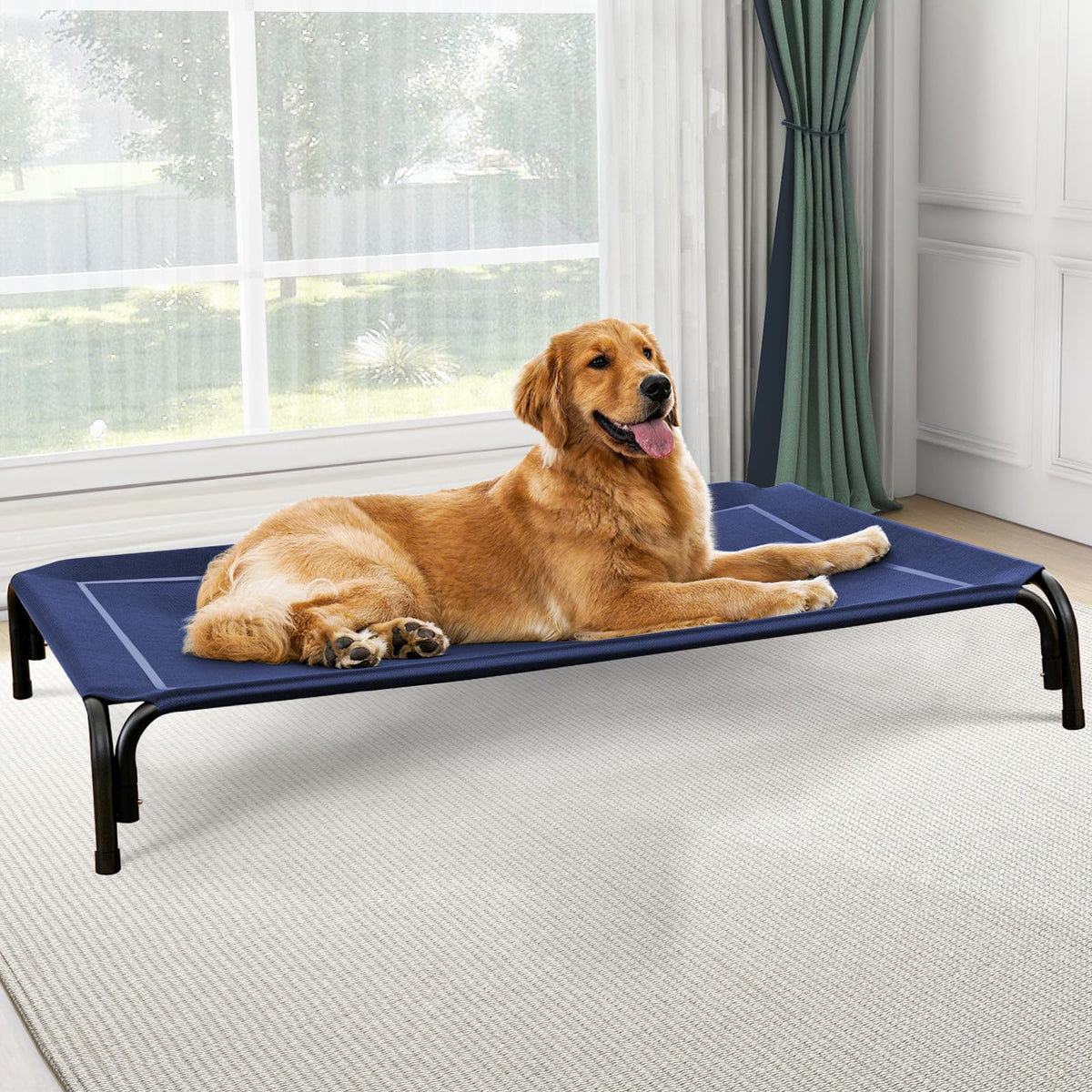 Czpalo lit chien eleve avec cadre metal robuste et stable.