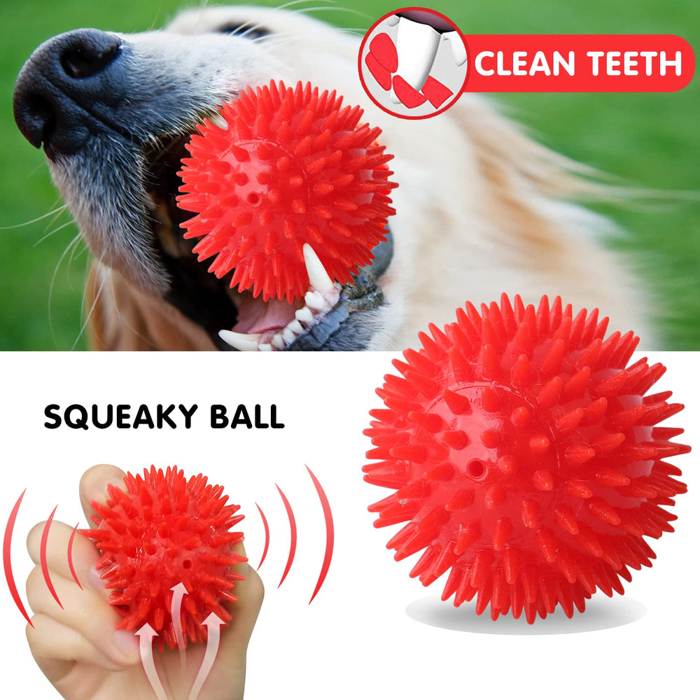 Jouet chien D KING, balle peluche résistante pour le jeu et récupération.