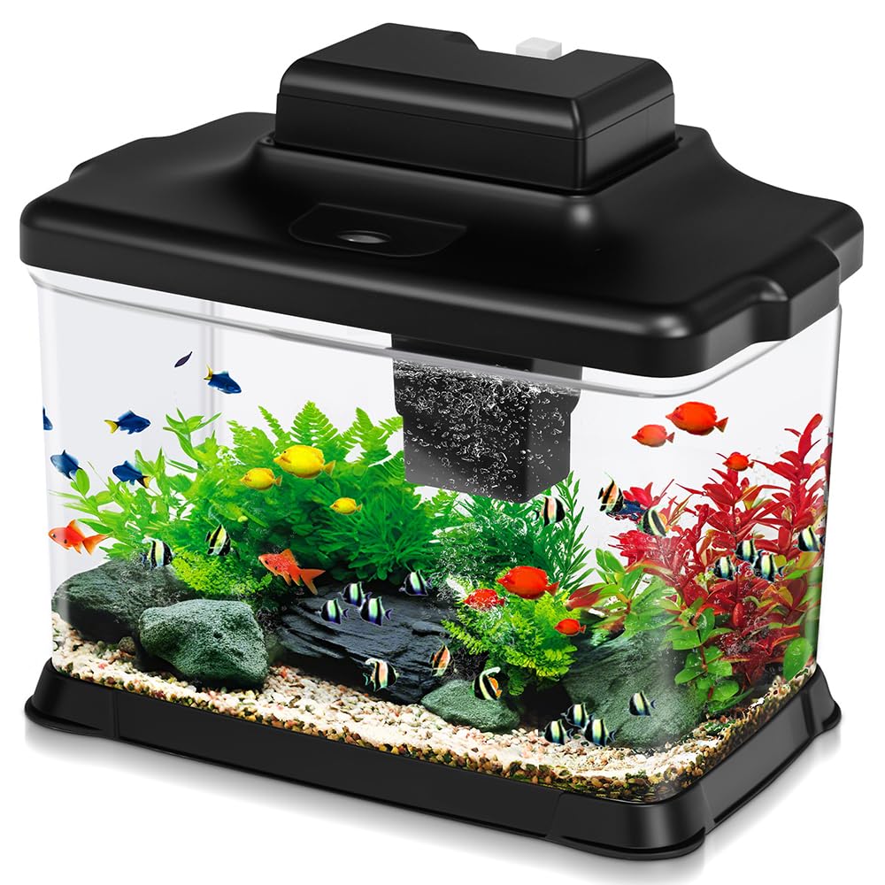 DaToo Aquarium 1,6 Gallons: expérience ultra-claire pour observer les poissons
