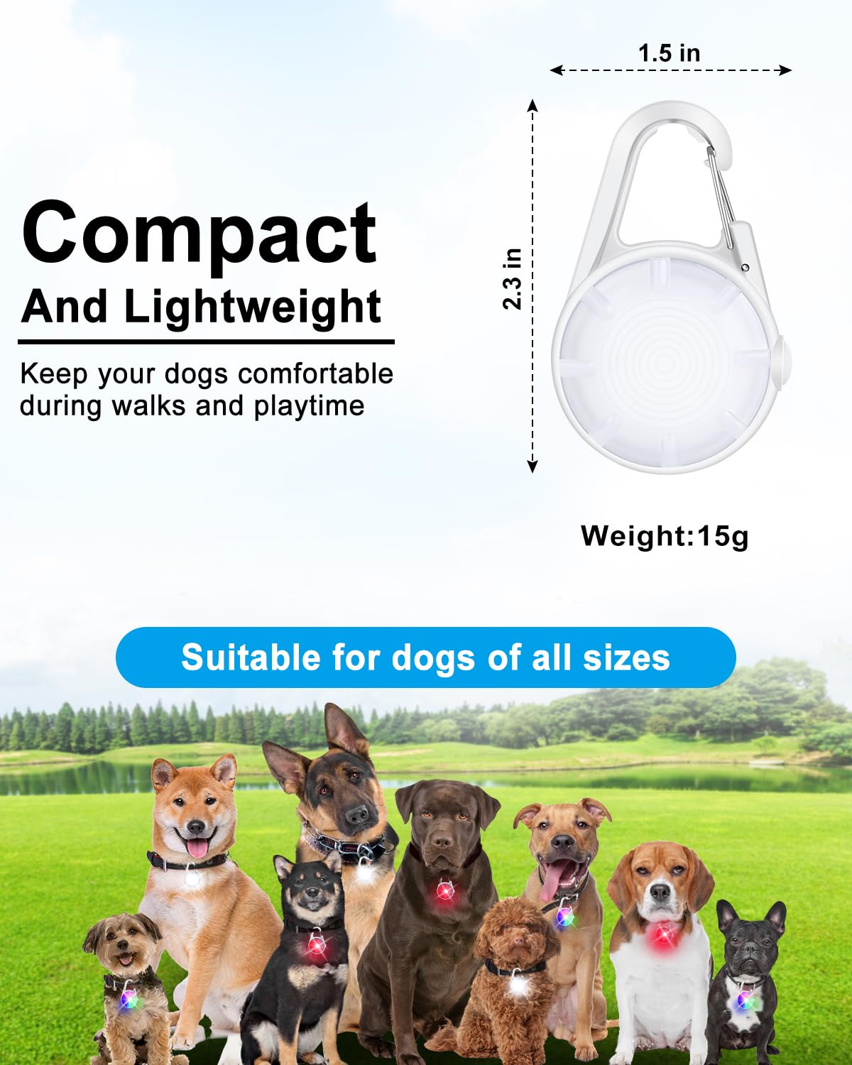 DAAMENT clip robuste pour collier chien, installation rapide et sûre
