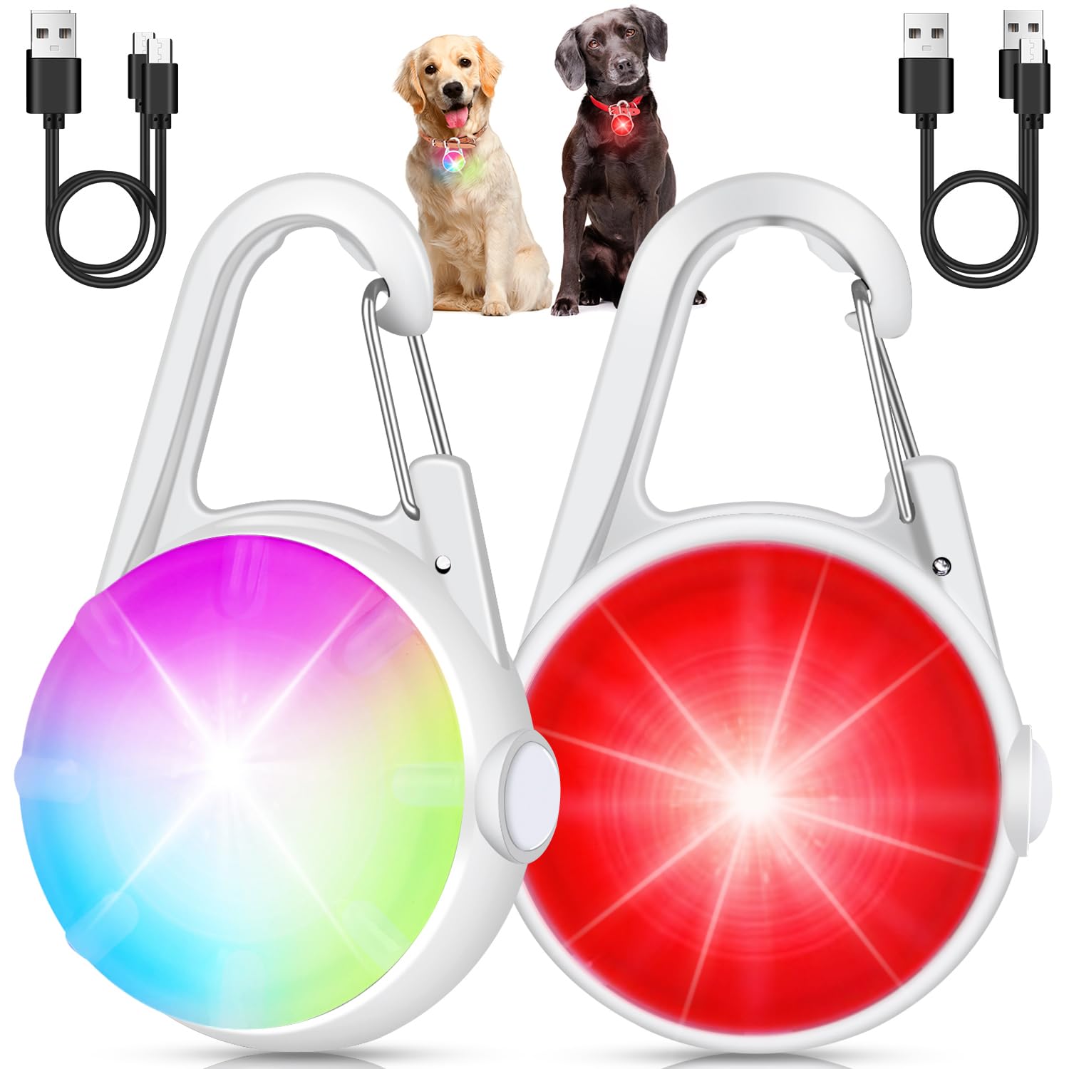 DAAMENT lampe collier chien LED brillante pour visibilité nocturne longue distance