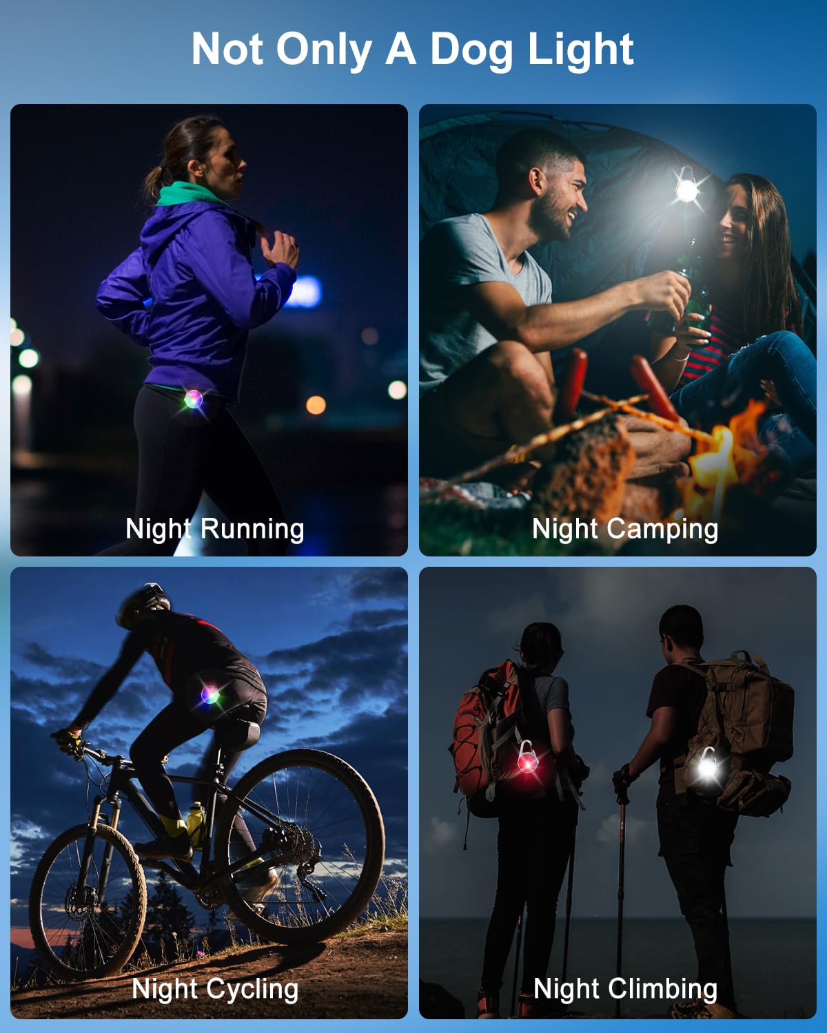 DAAMENT lampe légère et compacte n’alourdit pas le cou du chien