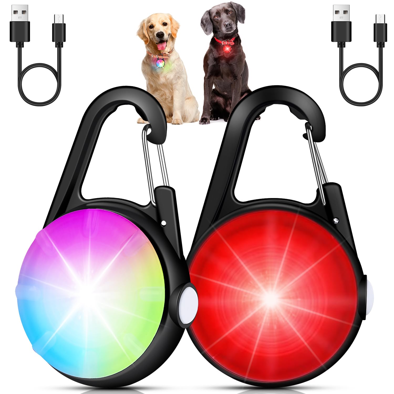DAAMENT lumière collier chien clip, visibilité accrue lors des promenades nocturnes.