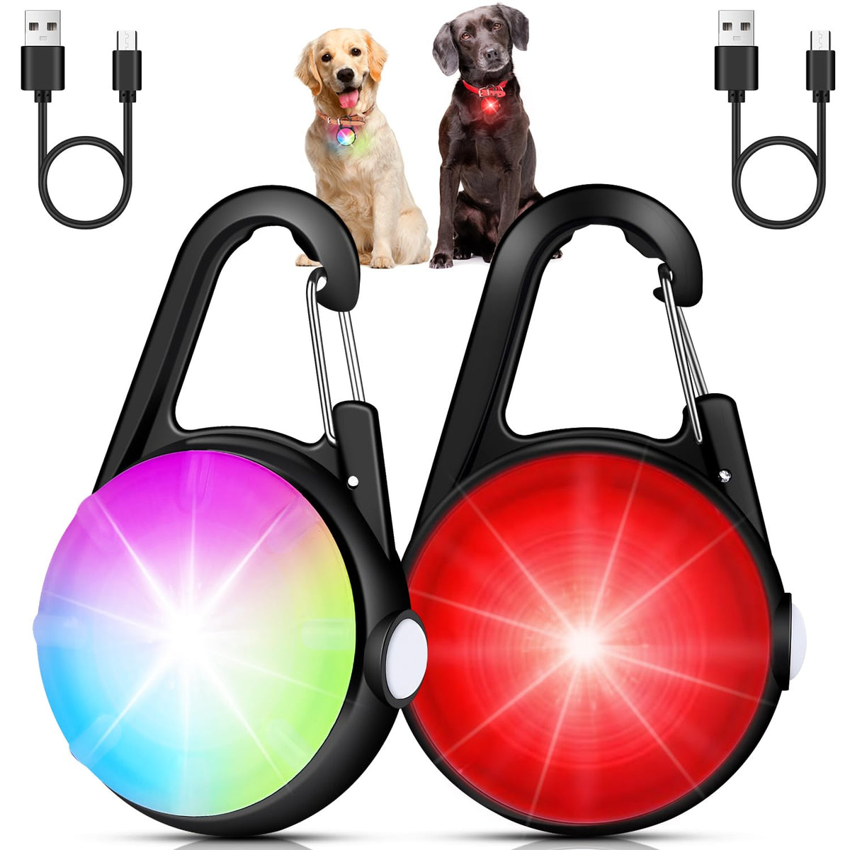 DAAMENT lumière collier chien clip, visibilité accrue lors des promenades nocturnes.
