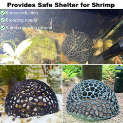 Daelala cache-crevettes aquarium, systeme-separable-avec-plante: refuge sûr et repos