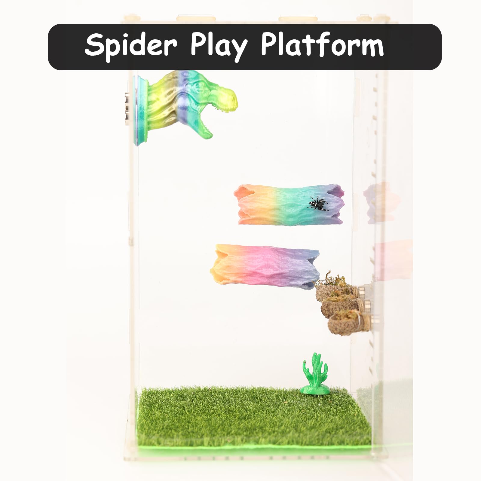Daerky decoration-habitat-petit-animal-bois: élément décoratif enrichissant l’espace de vie.
