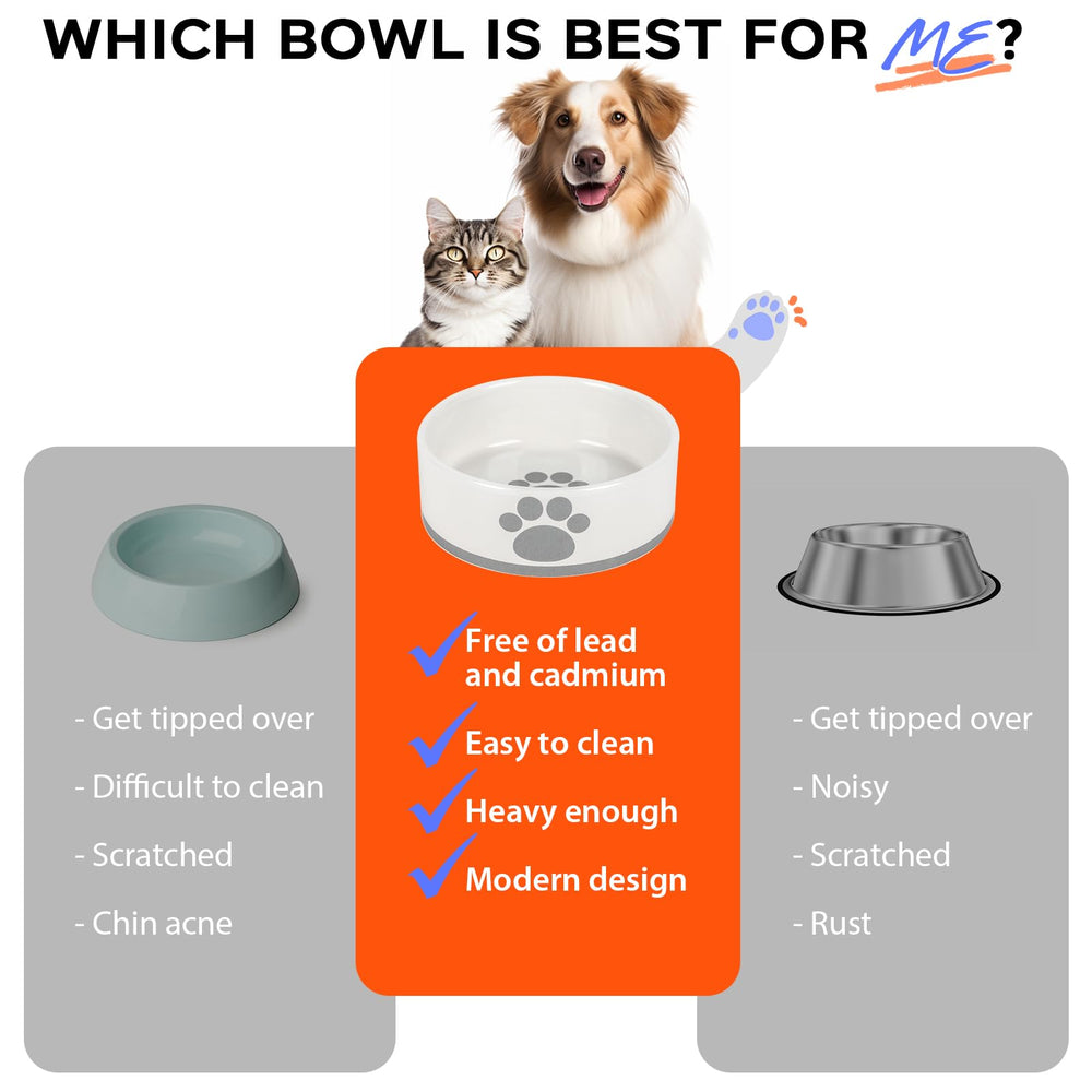 Bol Dahaiwua blanc et élégant, pour chiens pesant jusqu'à environ 9 kg.