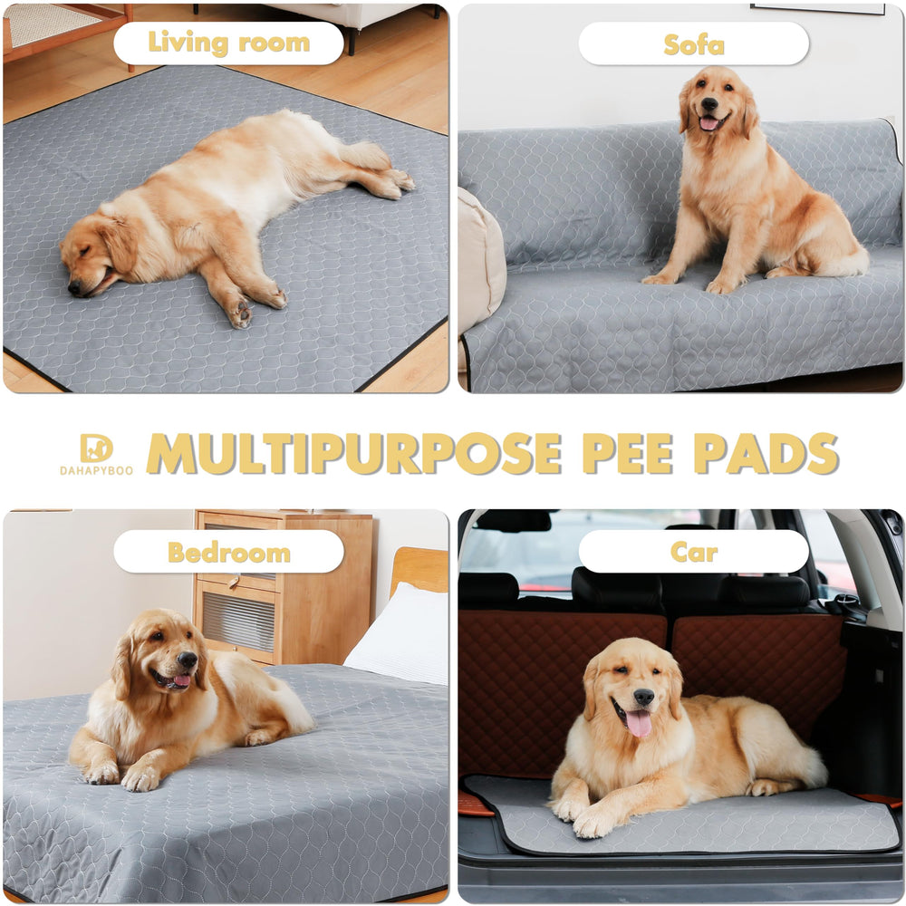 Usage polyvalent DAHAPYBOO, pour entraînement et protection de meubles.