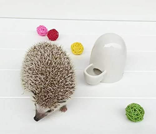Dahey design épuré, facile à fixer dans la cage.