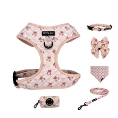 Daizzy Gear harnais-chien-grand-collier: confort et sécurité lors de sorties.