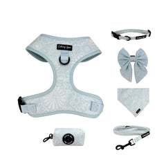 Harnais moyen sans traction Daizzy Gear pour balades confortables et sécurisées.