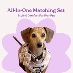 Laise assortie Daizzy Gear Cocoa Bloom, prise en main confortable pour promenades