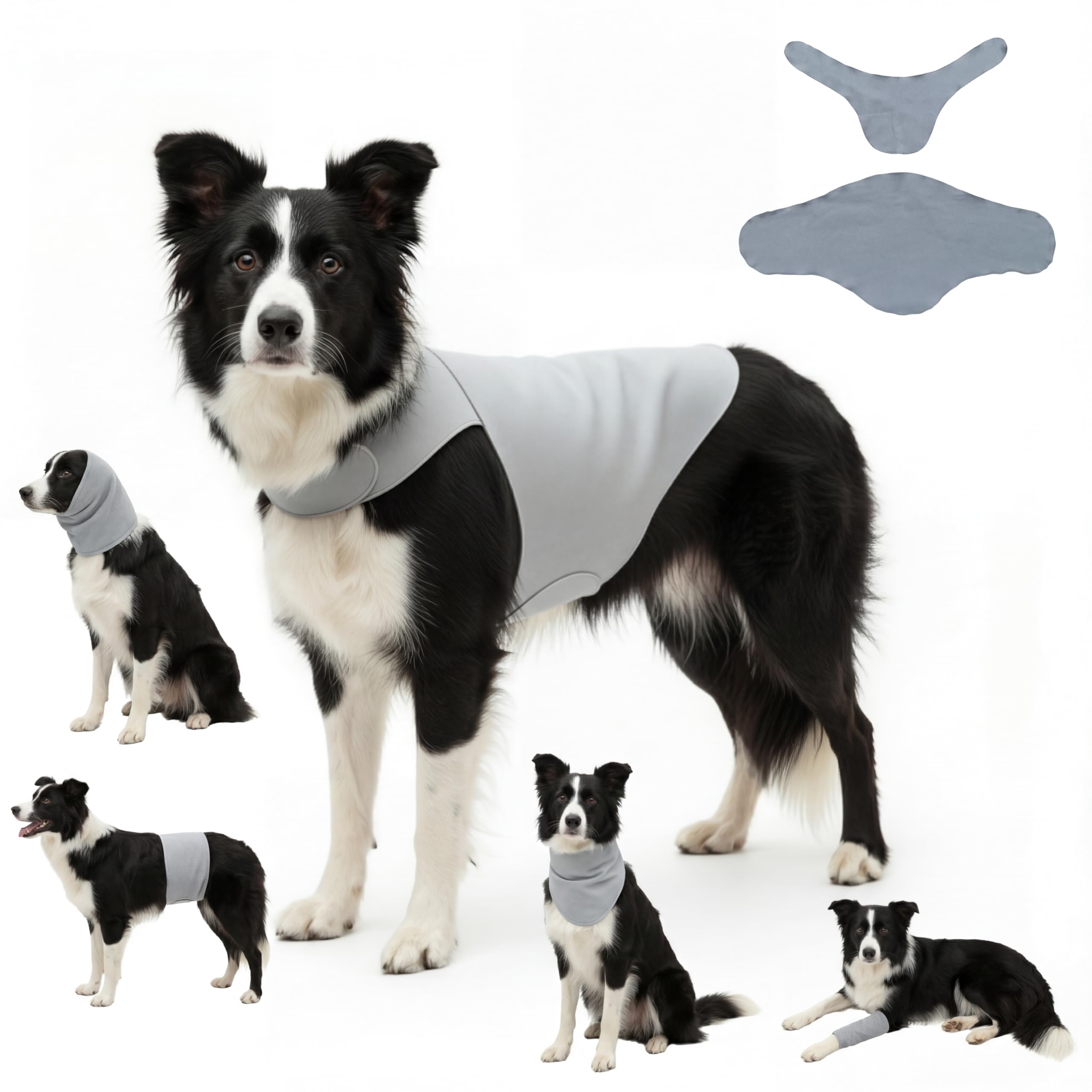 DAJIDALI gilet anxiété chien et chat – pression apaisante