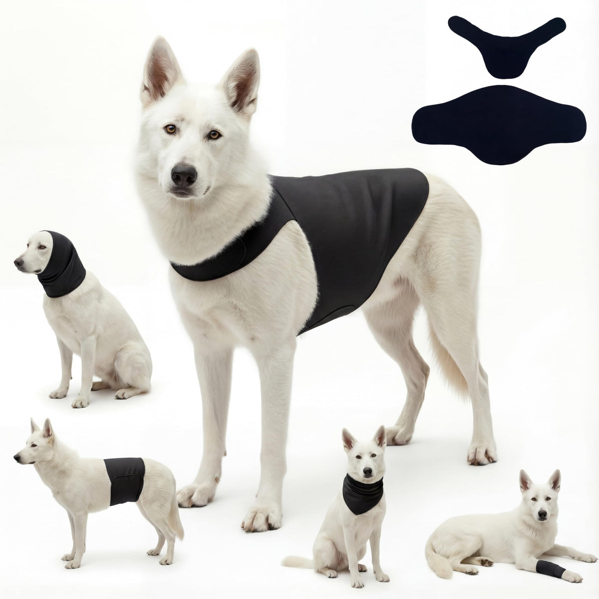 DAJIDALI gilet anxiété chien et chat: soutien doux lors de situations stressantes.