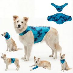 Gilet anxiété DAJIDALI pour chien ou chat avec effet calmant et sécurisant.