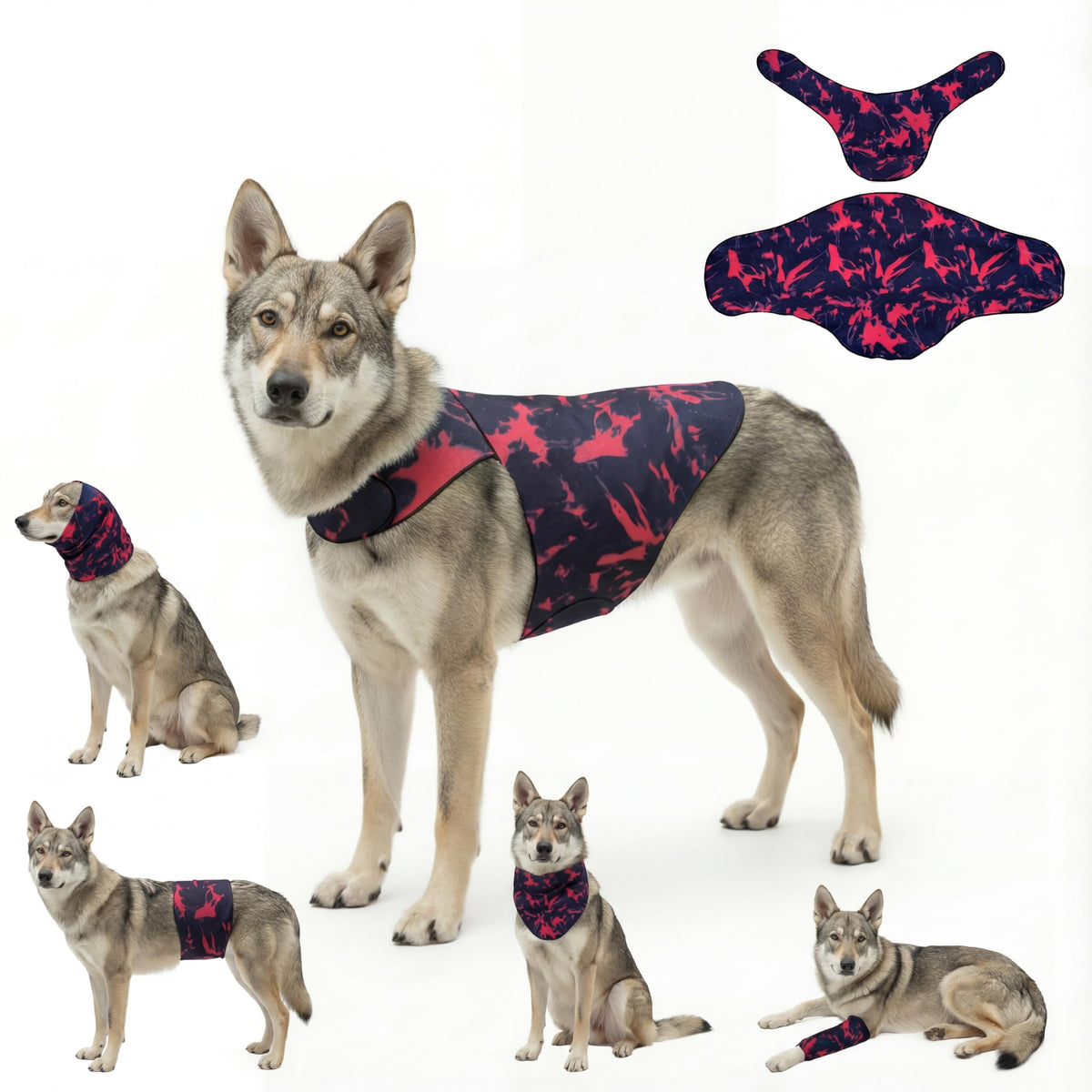 DAJIDALI gilet anxiété chien et chat: pression apaisante.