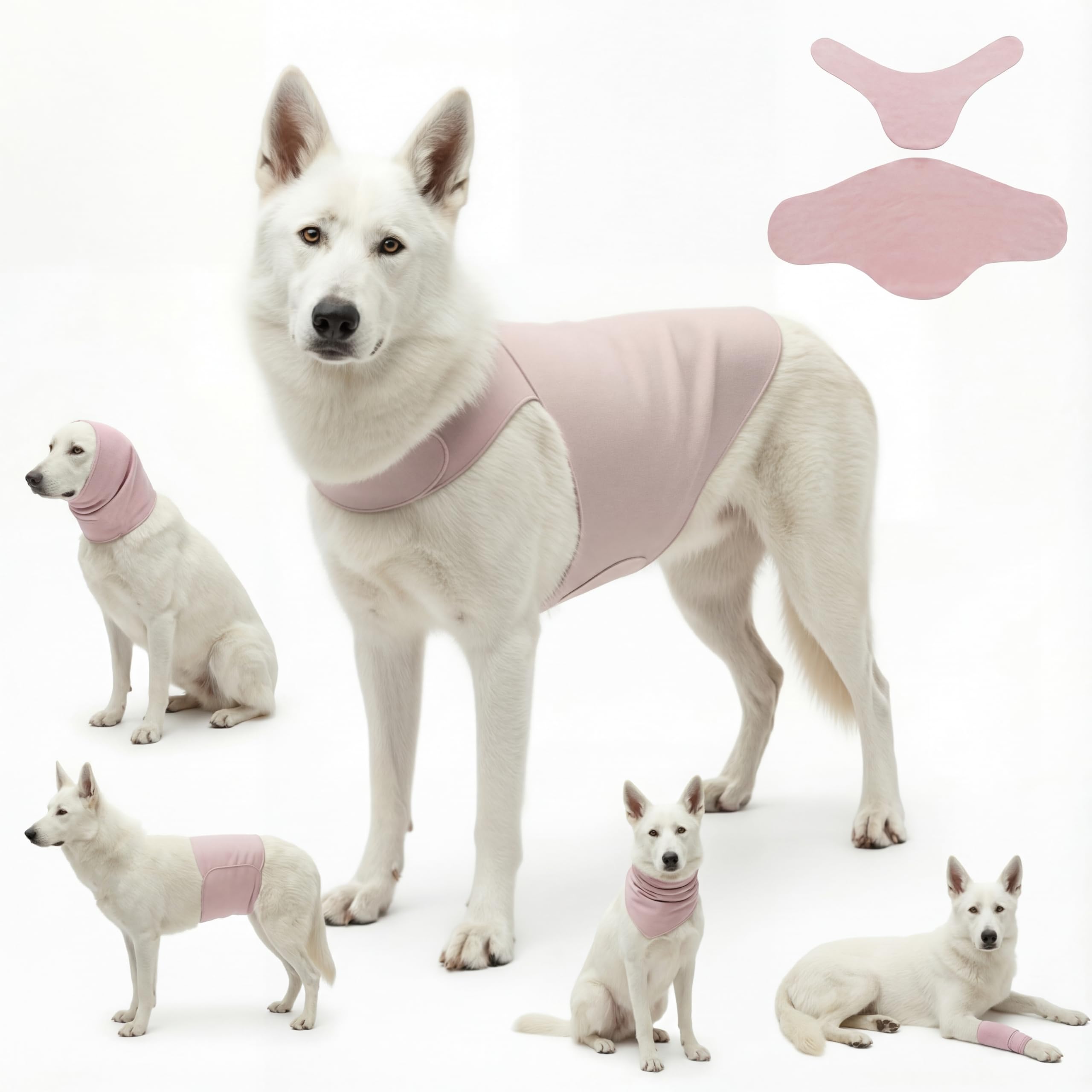 DAJIDALI veste anxiété – pression douce apaisant chien et chat.