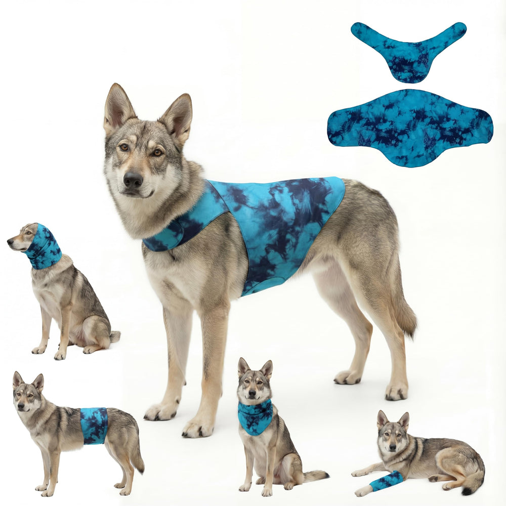 Veste d'anxiété DAJIDALI pour chien et chat en action, effet calmant pour les séances à domicile.