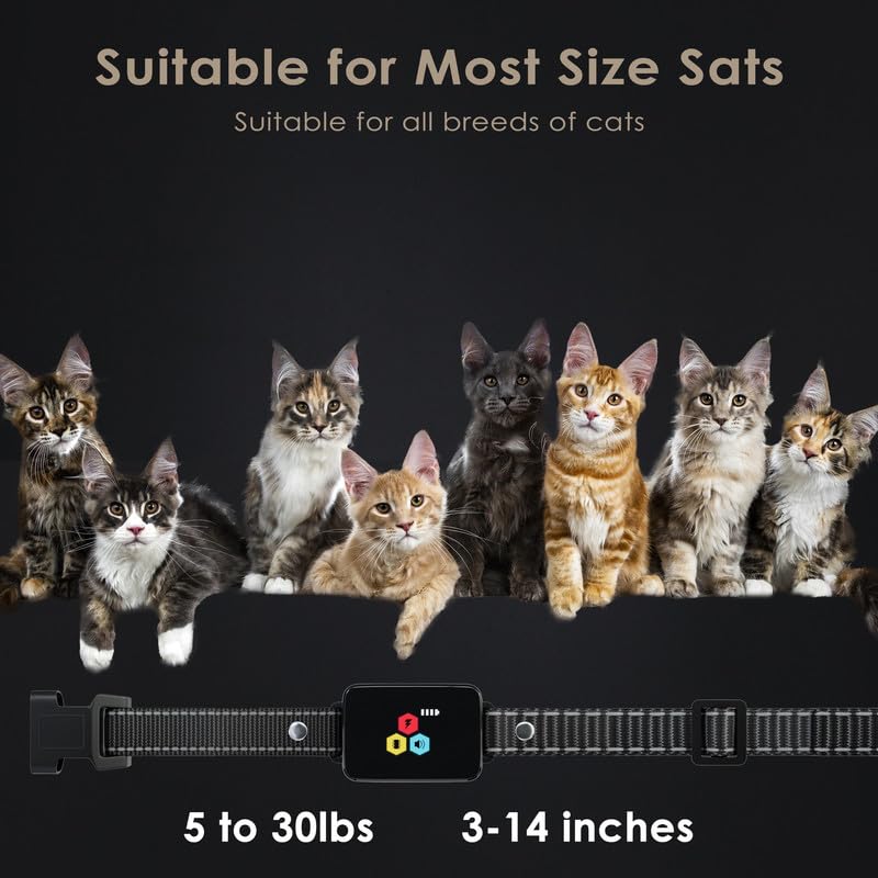 Collier réglable de 13 à 46 cm pour tous les chats