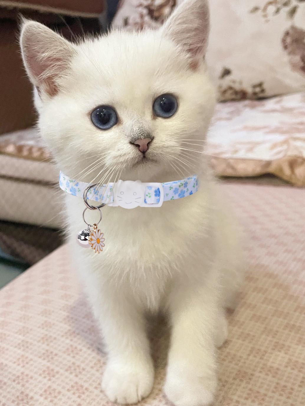 Daloo collier chat fleurs marguerite rose, variété de motifs pour petits félins.