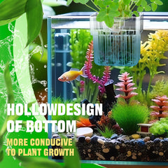 Porte-plante aquarium Dandat format compacte, taille adaptée pour insertion et entretien faciles.