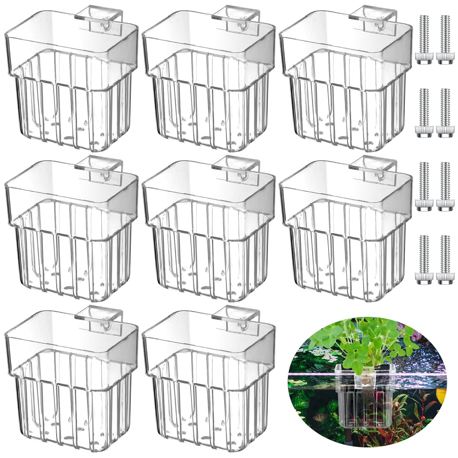 Porte-plante aquarium transparent de Dandat, suspendue, idéal pour présenter plantes aquatiques sans encombrement.