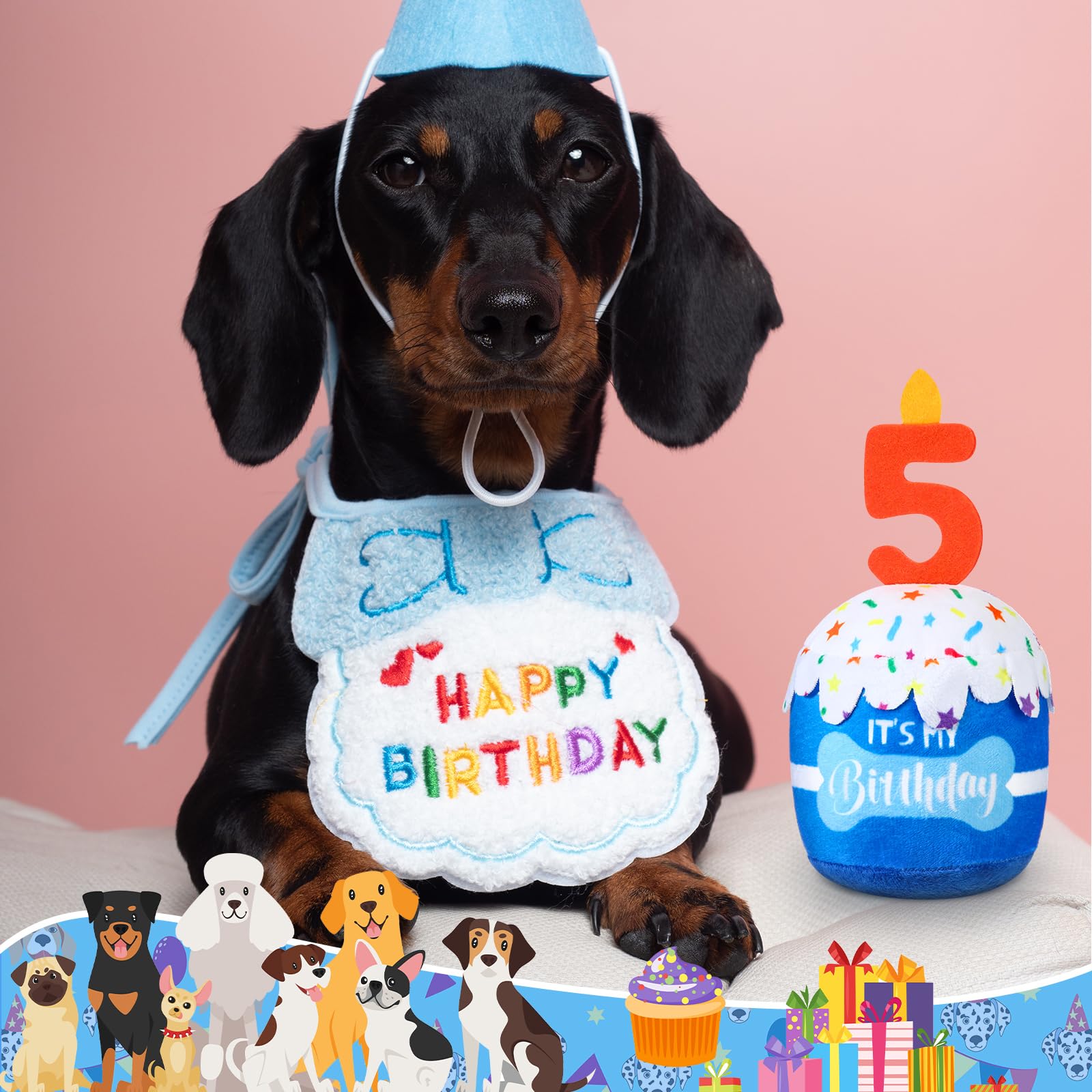 Dansydaisy bleu bravoure, couleur festive pour célébration canine.