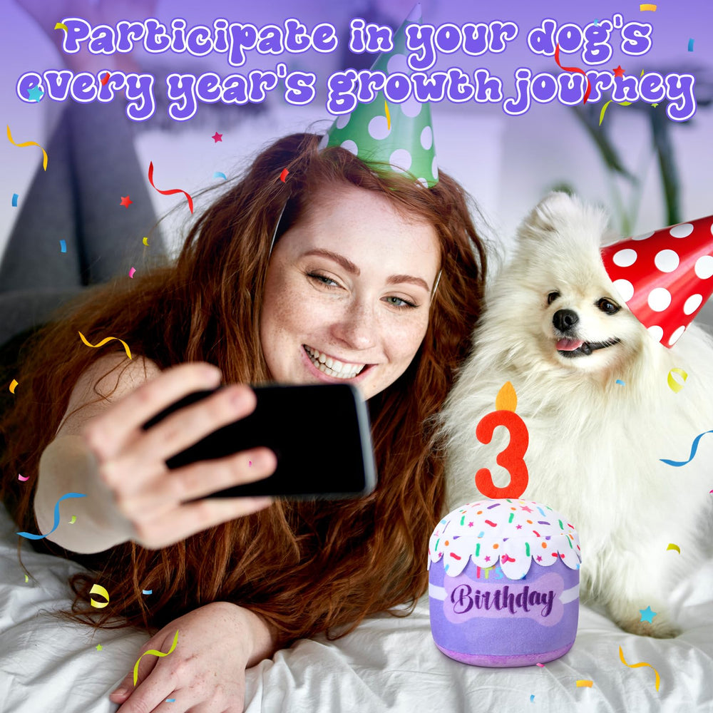 Dansydaisy cadeau anniversaire chien, décor et jeu